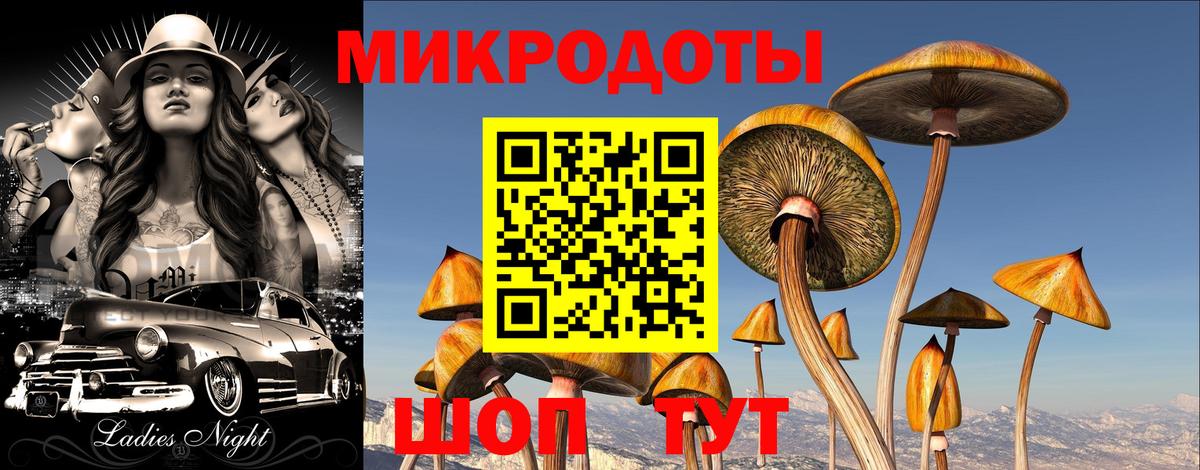 Псилоцибиновые грибы мицелий  купить   Верхний Уфалей  Вход с VPN 